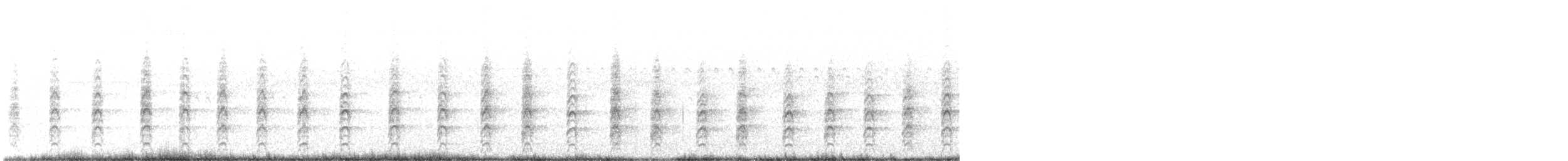 Schwarznacken-Stelzenläufer (mexicanus) - ML640013292