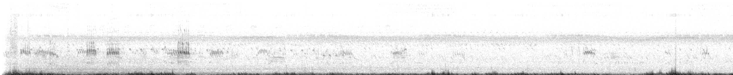 Bairdstrandläufer - ML640013325