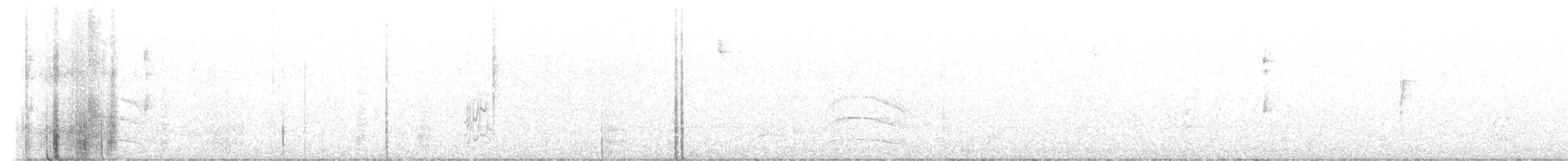 Mottle-cheeked Tyrannulet - ML640013545