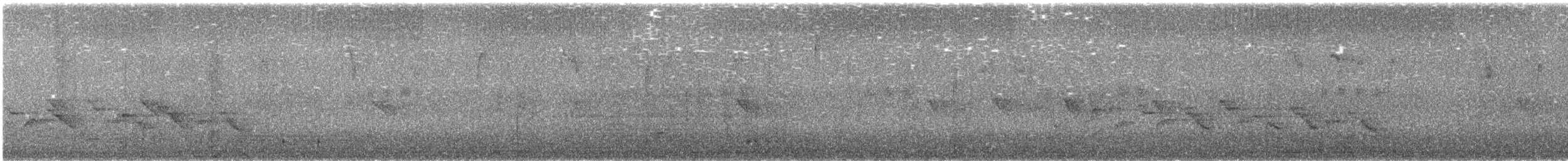 Rostkappen-Stutzschwanz - ML640014234