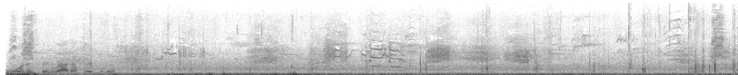 Sulphur-crested Cockatoo - ML640014652