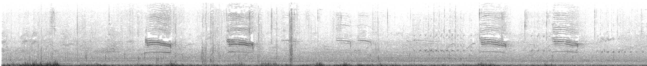 Magpie-lark - ML640014657