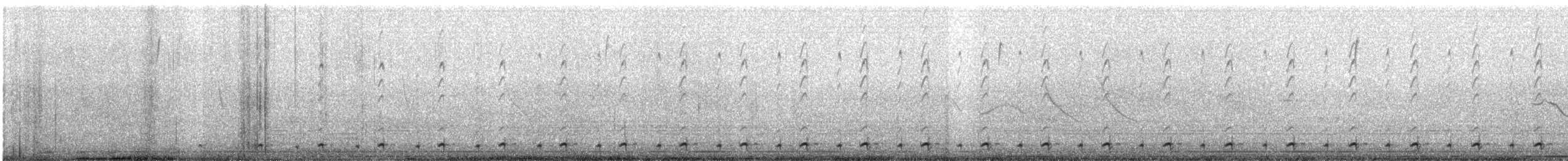 Least Seedsnipe - ML640014658