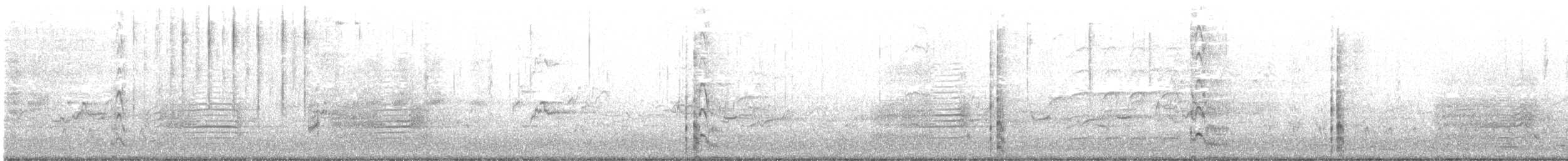 Eurasian Coot - ML640015307