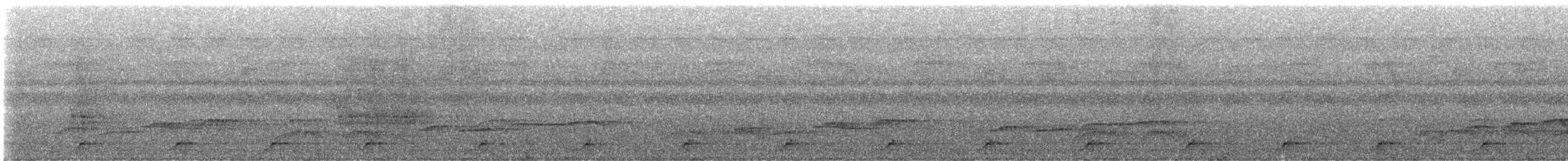 White-breasted Waterhen - ML640015708