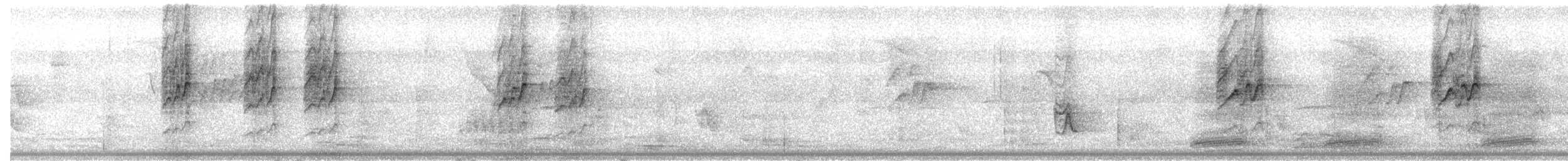 Collared Sunbird - ML640016025