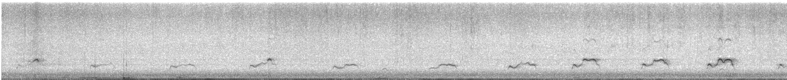 Black Swan - ML640016867