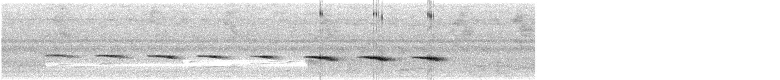 Sulawesi Brush Cuckoo - ML640017503