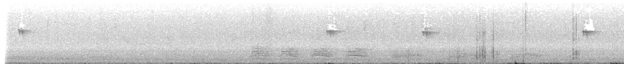 Номин шогшир - ML640017790