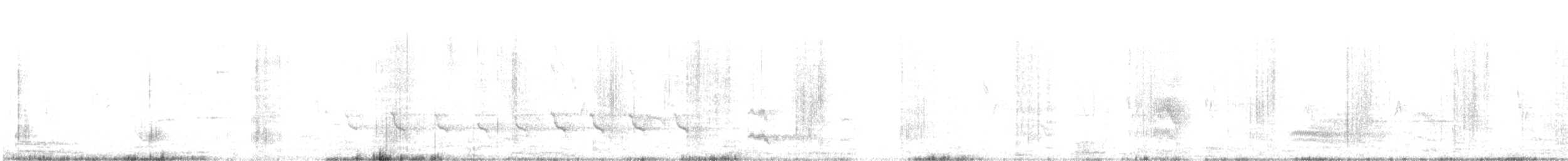 Pied Cuckoo - ML640018563
