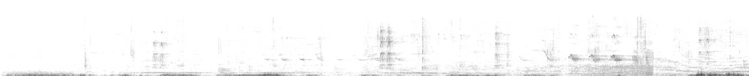 Pied Cuckoo - ML640018587