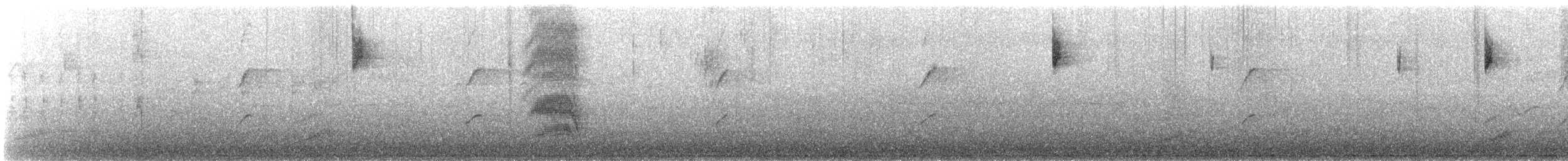 White-browed Scrubwren (White-browed) - ML640019245