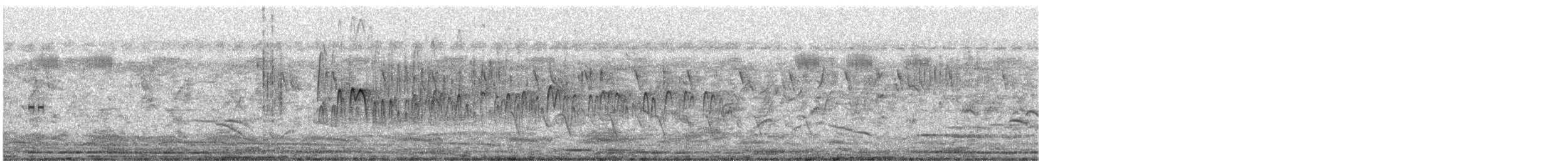 Asian Palm Swift - ML640020309