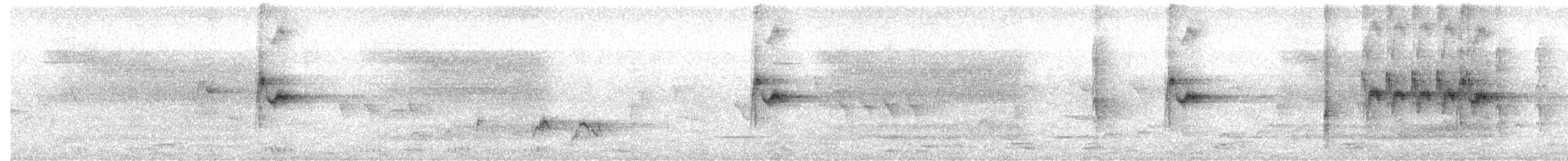 Cape Wagtail - ML640021441