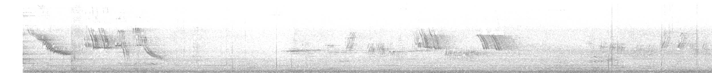 White-browed Wagtail - ML640021604