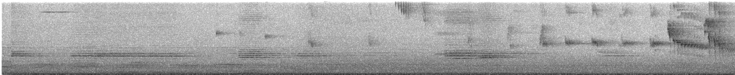 Little Swift - ML640021691