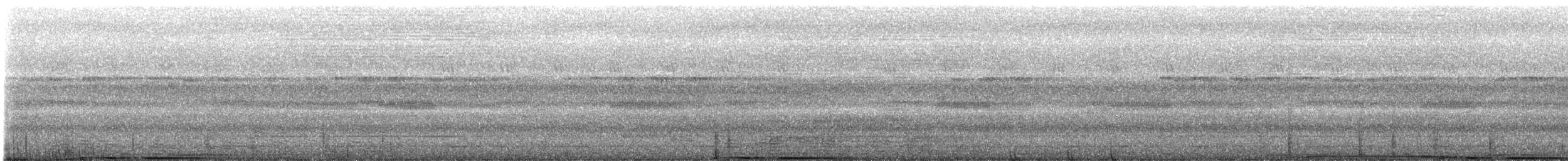 Carpophage de Forsten - ML640022094