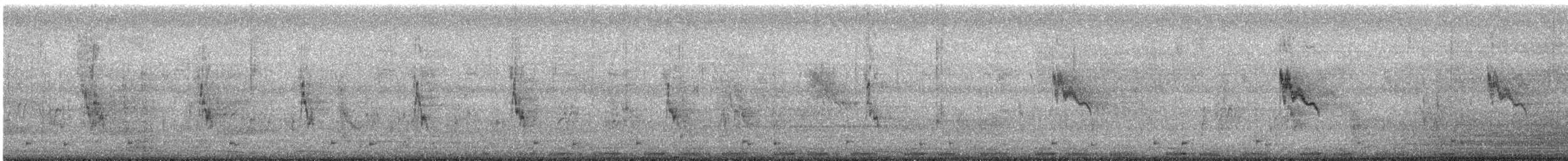 Зээрд хүүрзгэнэ - ML640022273