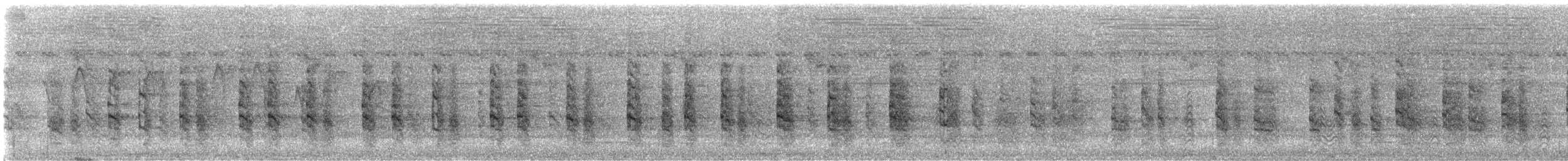 Râle à collier - ML640022627