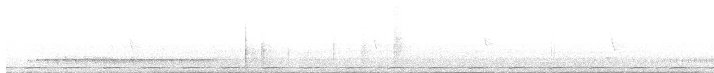 Wonga Pigeon - ML640023050