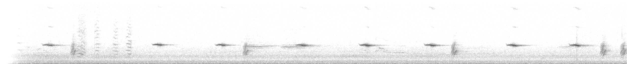 blåstrupesteintrost - ML640024789