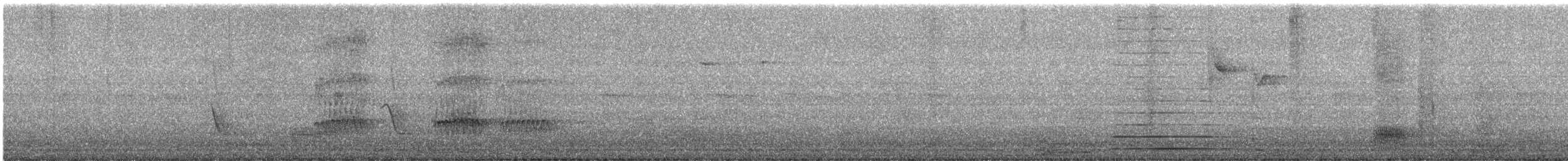 Тольт бор тодол - ML640024998