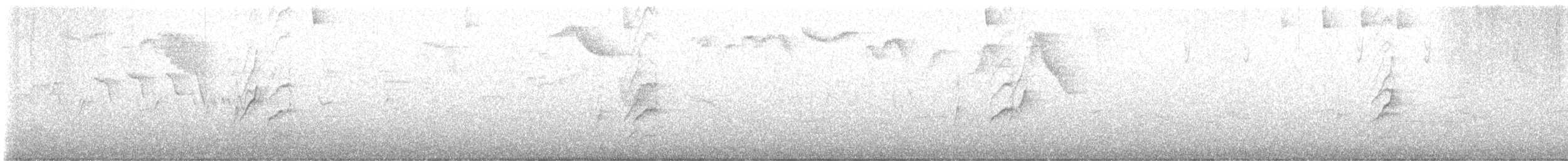 Azara's Spinetail - ML640025787