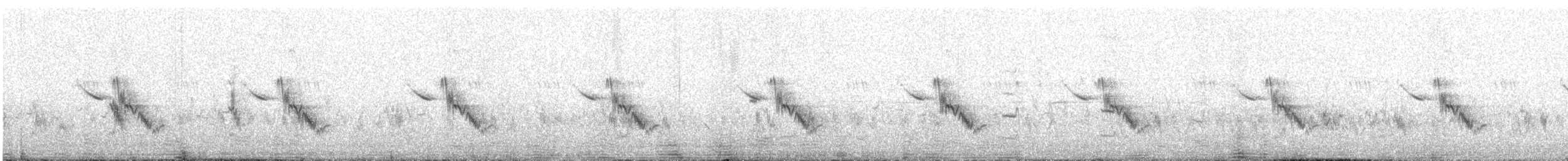 Chirruping Wedgebill - ML640026017