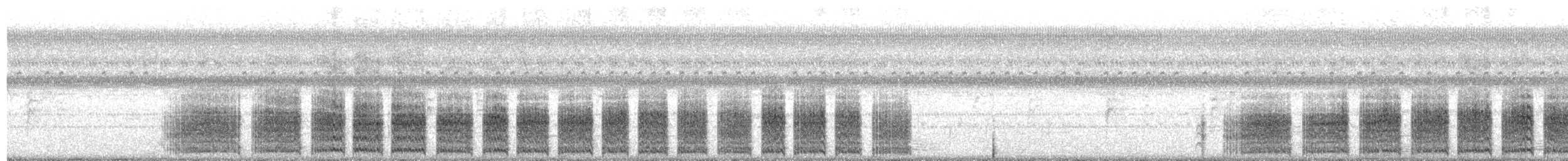 Black Rail - ML640027306