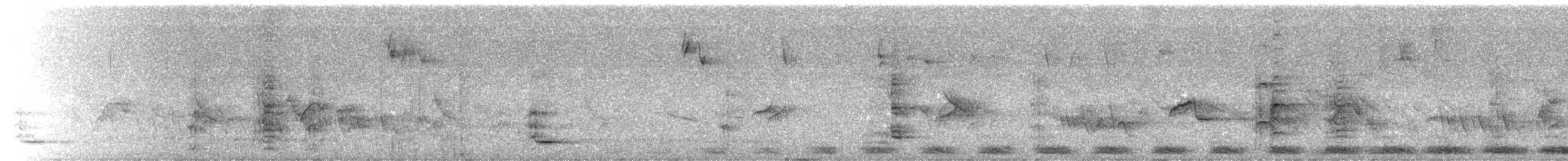 Knysna Turaco - ML640029055