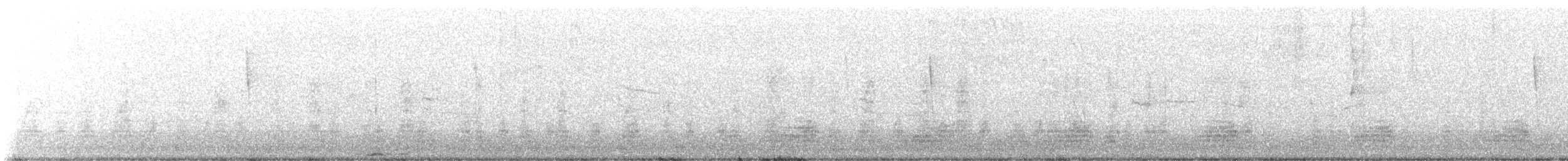 Mallard (Domestic type) - ML640029200