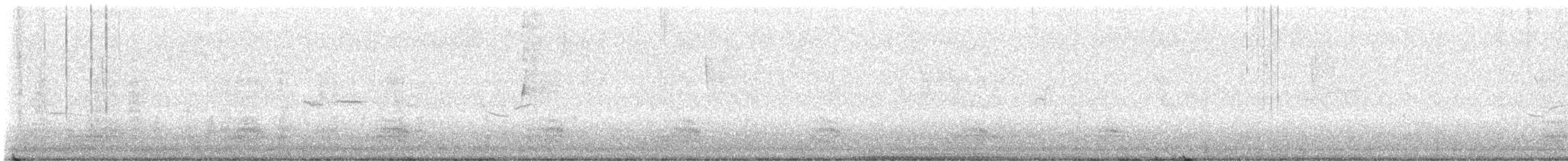 Mallard (Domestic type) - ML640029255