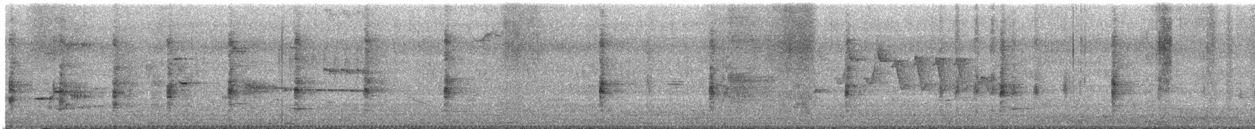 Ridgway's Rail (Yuma) - ML640029405