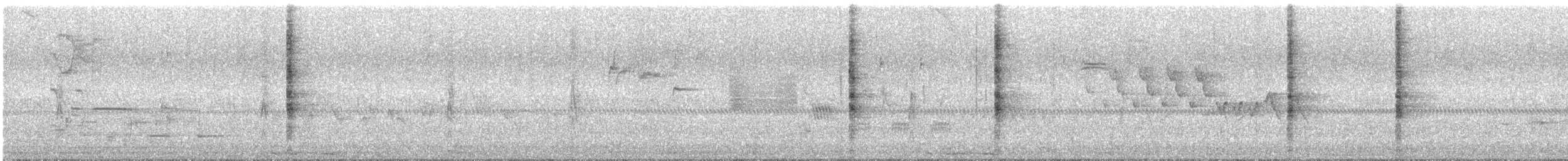 Ridgway's Rail (Yuma) - ML640029430