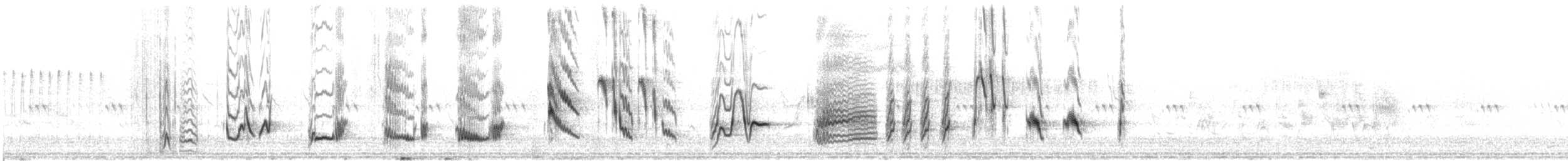 Moqueur à bec courbe - ML640030429