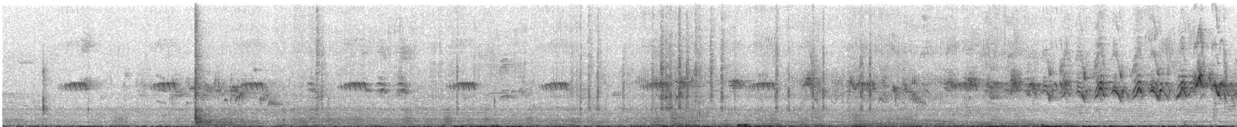 Lucifer Hummingbird - ML640030472