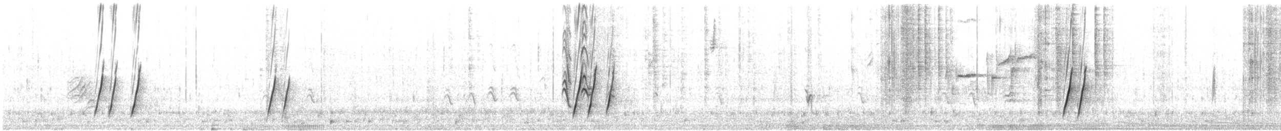 Moqueur à bec courbe - ML640030511