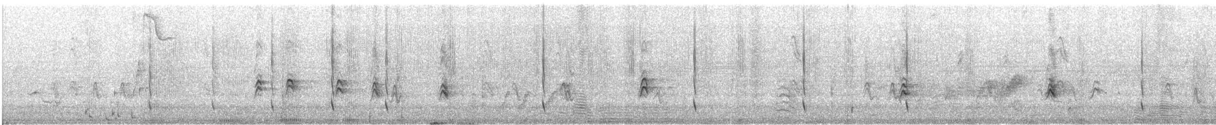 Colibri à gorge rubis - ML640030560