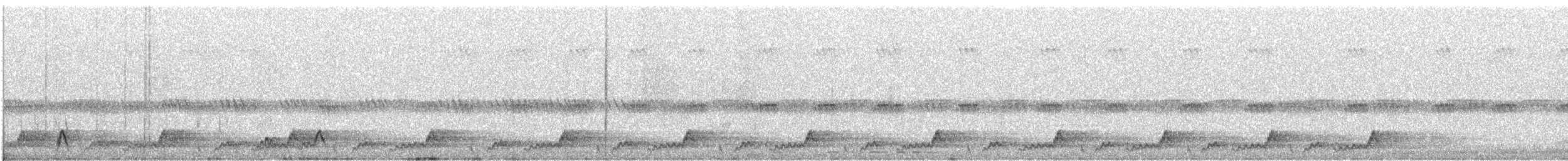 Mexican Whip-poor-will - ML640031507