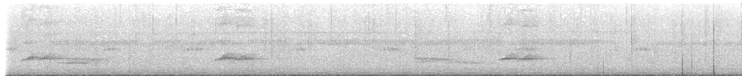 White-rumped Shama - ML640033781