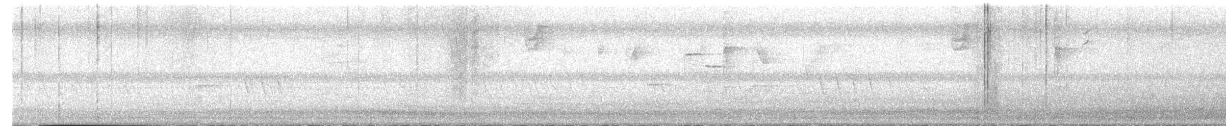 American Avocet - ML640033808