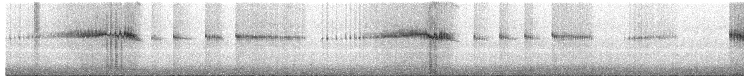 Broad-tailed Hummingbird - ML640036199