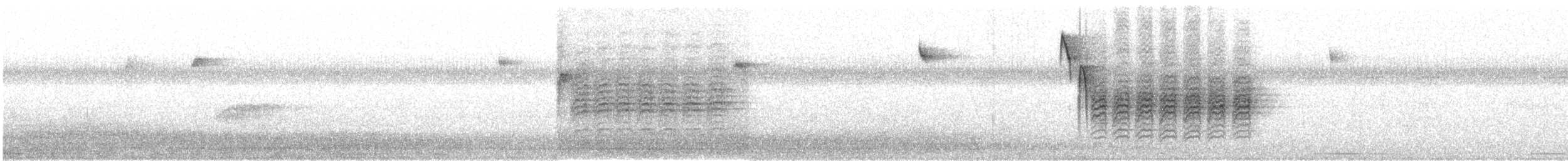 Carolina Chickadee - ML640038499