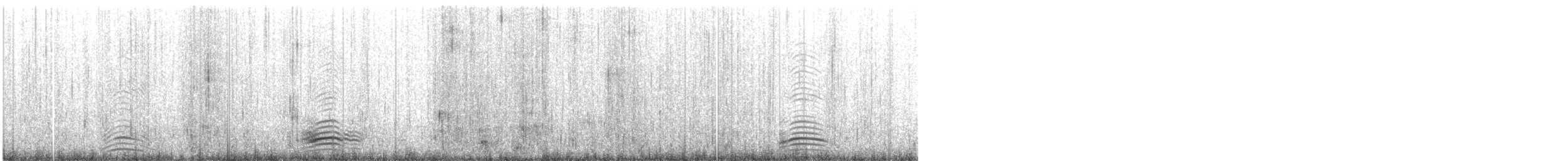 Casarca - ML640038973