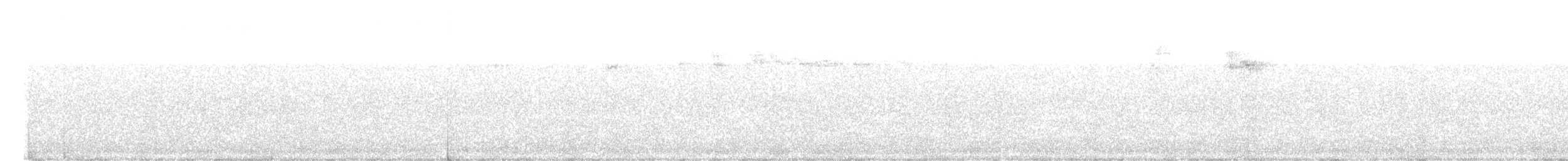 Green-backed Firecrown - ML640040747