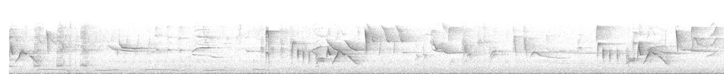 White-eyed Vireo - ML640041310