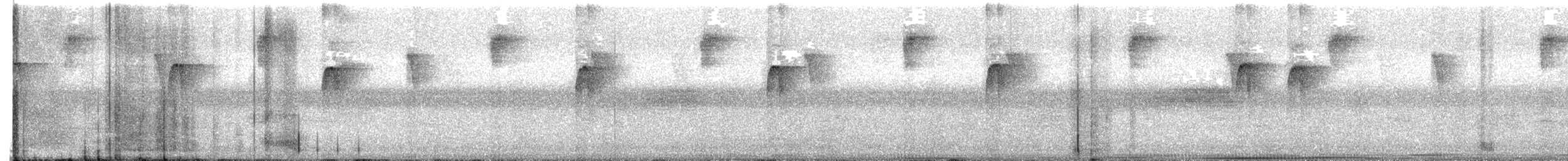 Spotted Barbtail - ML640042039