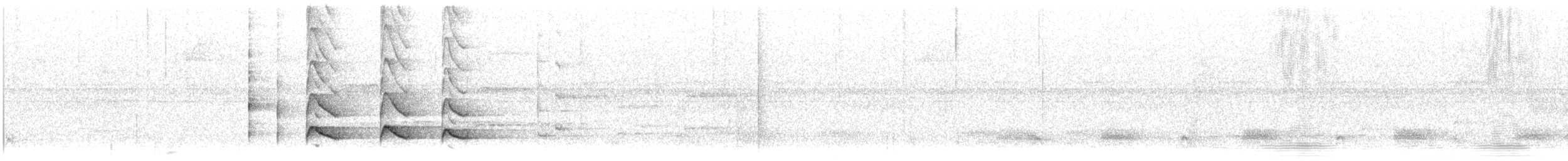 Brownish Twistwing - ML640043886