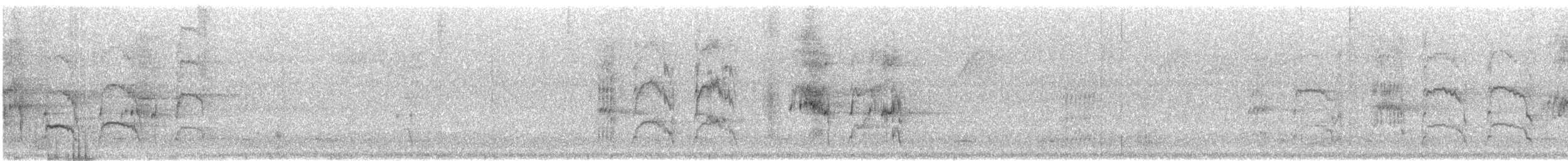 White-bellied Parrot - ML640043961