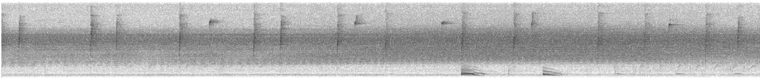 Cuculo americano - ML640044390